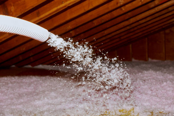 Best Energy-efficient Insulation  in Cave Spring, VA