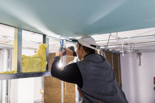 Best Blown-in Insulation  in Cave Spring, VA