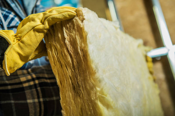 Insulation Replacement Services in Cave Spring, VA