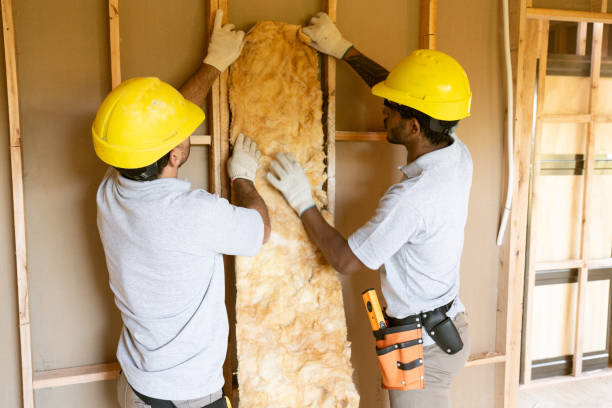 Best Insulation Repair Services  in Cave Spring, VA