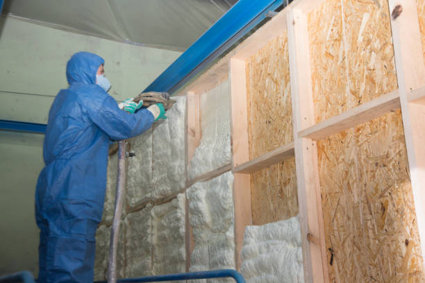 Best Attic Insulation Installation  in Cave Spring, VA
